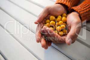 Hand of woman holding autumn berries
