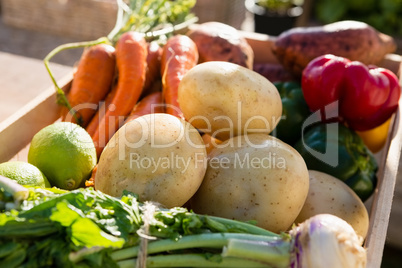 Fresh vegetables in crate