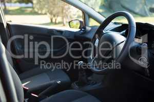 Car interior with steering wheel