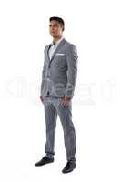 Businessman standing on white background