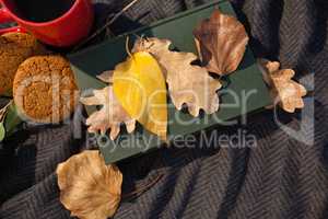 Black coffee, cookies, diary and autumn leaves on woolen blanket