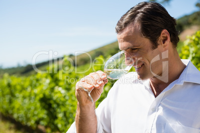 Vintner smelling glass of wine
