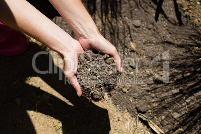 Woman holding soil in garden