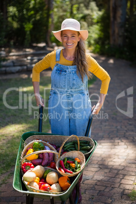Happy woman holding fresh vegetables in wheelbarrow