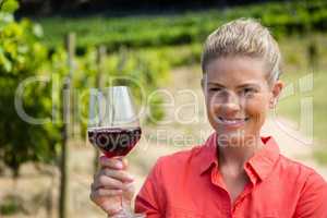 Portrait of female vintner holding glass of wine