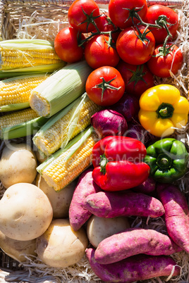 Fresh vegetables in wicker basket