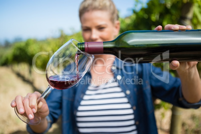 Female vintner pouring wine in glass