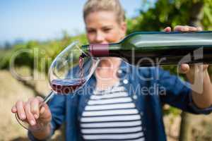 Female vintner pouring wine in glass