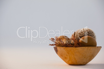 Dry leaves, pears, and porcupine in bowl