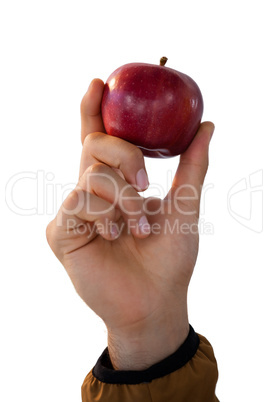 Close-up of hand holding apples