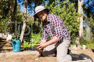 Happy man planting sapling in garden