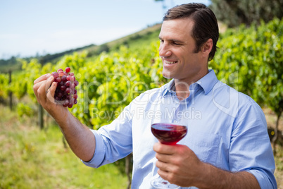 Smiling vintner holding grapes and glass of wine