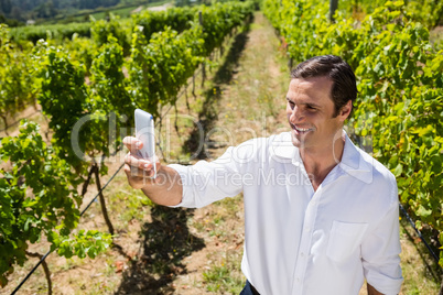 Happy man talking selfie with mobile phone in vineyard