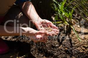 Mid section of woman planting seeds in garden