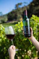 Female vintner examining wine