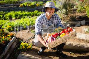 Portrait of happy man holding a basket of fresh vegetables