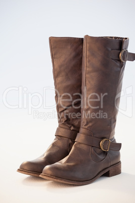 Pair of wellington boot against white background