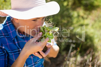 Woman smelling sapling in garden