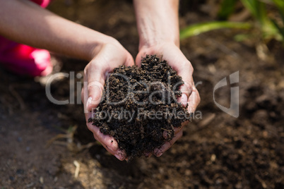Close-up of woman holding soil in garden