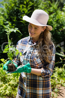 Happy woman holding sapling in garden