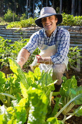 Portrait of happy man examining sapling in garden