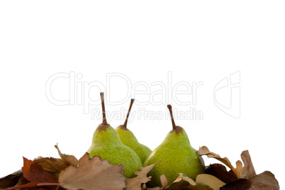 Close-up of pears with autumn leaves