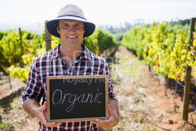 Portrait of happy man holding slate with text in vineyard