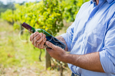 Mid section of vintner examining wine