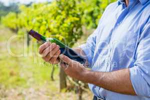 Mid section of vintner examining wine