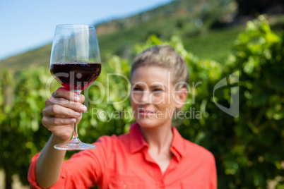 Female vintner examining glass of wine