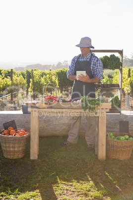 Man using digital tablet at vegetable stall