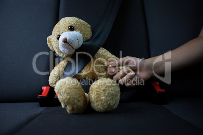 Teenage girl sitting with teddy bear in the back seat of car