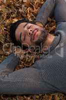 Man sleeping on autumn leaves