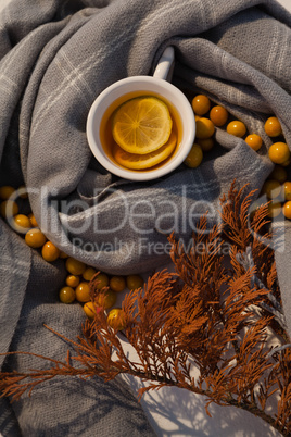 Autumn berry, lemon tea and leaves on blanket