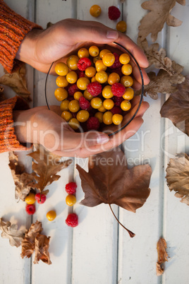 Hand of woman holding bowl of autumn berries