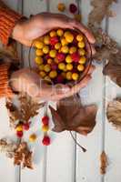 Hand of woman holding bowl of autumn berries
