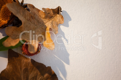 Close-up of autumn leaves