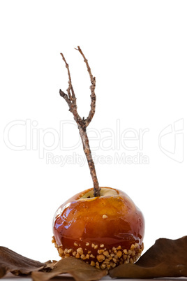 Close-up of decorated apple with autumn leaves