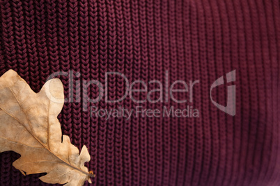 Woolen cloth with autumn leaves