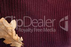 Woolen cloth with autumn leaves
