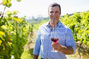 Portrait of smiling vintner holding glass of wine