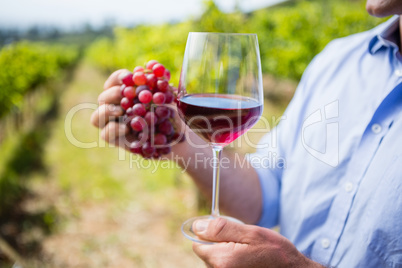 Mid section of vintner holding grapes and glass of wine