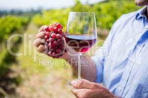 Mid section of vintner holding grapes and glass of wine