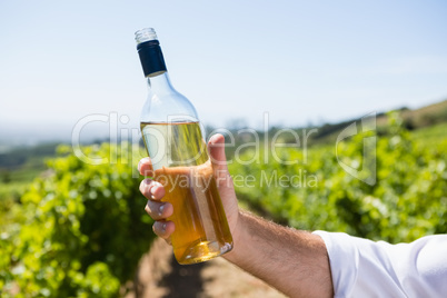 Vintner holding wine bottle