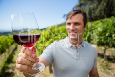 Smiling vintner examining glass of wine