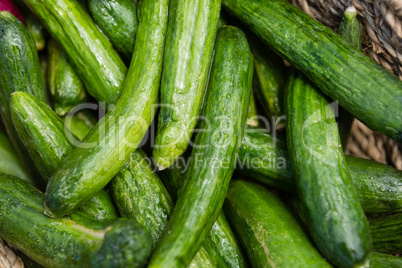 Fresh cucumbers in wicker basket
