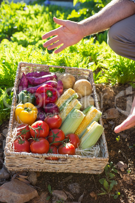 Mid section of man with a basket of fresh vegetables