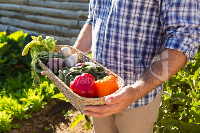 Farmer holding a basket of fresh vegetables in vineyard