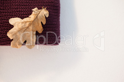 Woolen cloth with autumn leaves