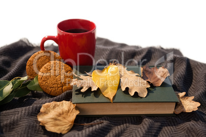Black coffee, cookies, diary and autumn leaves on woolen blanket